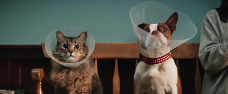 Canada_Post_More_Than_Mail_7