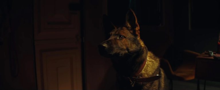 YT_Capra_Film_Stills_3