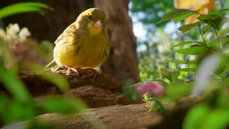 Nature's Way - Nature Finds a Way 2