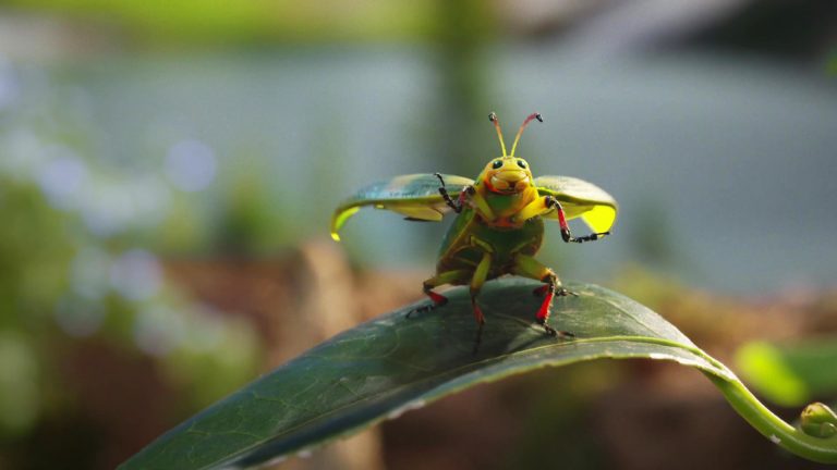 Nature's Way - Nature Finds a Way 4