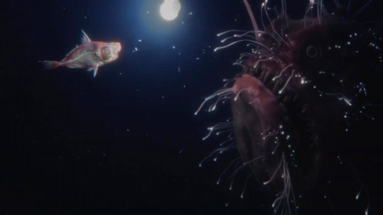 Nature's Way - Nature Finds a Way 5