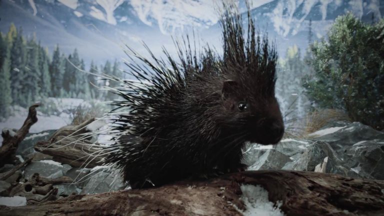 Nature's Way - Nature Finds a Way 8