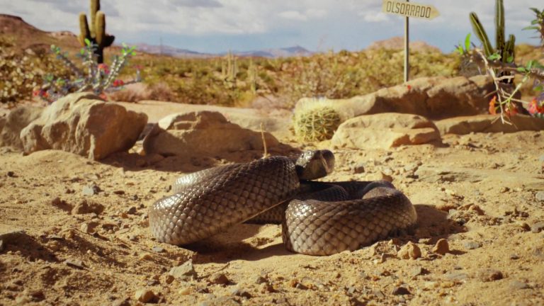 Nature's Way - Nature Finds a Way 9