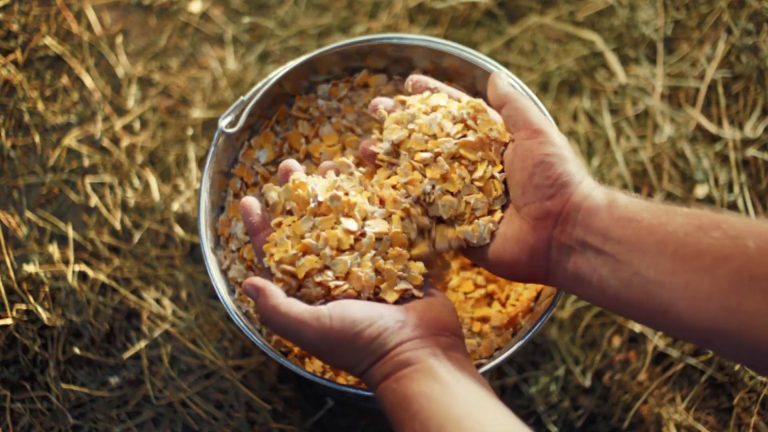 Undeniably_Dairy_Still_8